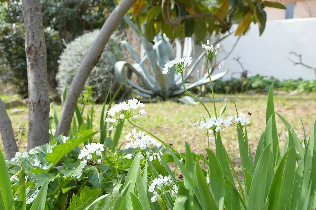 Villa Maredda La Ciotat Aparthotel